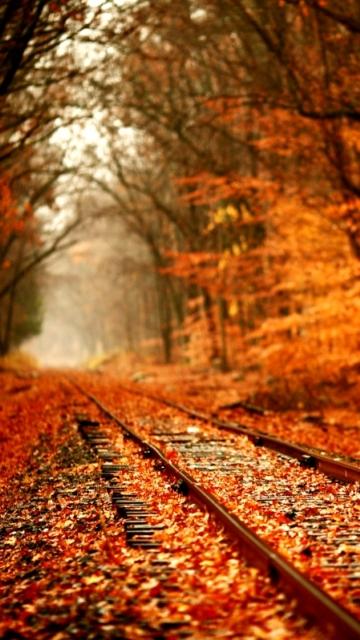 Autumn.jpg